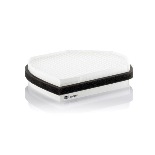 Particulate cabin pollen - particulate,