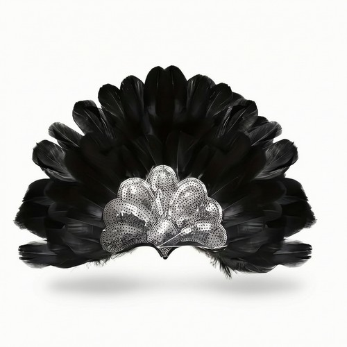Feather headdress dramatic - feather,