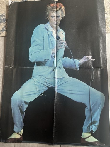 David bowie large poster - david,
