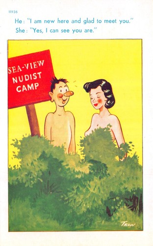 Mixed comic postcard nudist - comic,