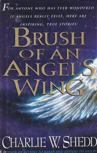 Brush angel s wing - an, angel's