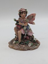 Leonardo collection fairy - collection,
