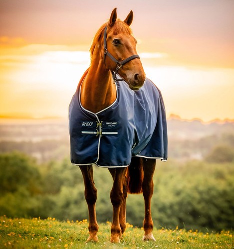 Horseware amigo ripstop - horseware®,