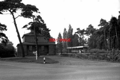Photo 1960 norfolk olaves - photo,