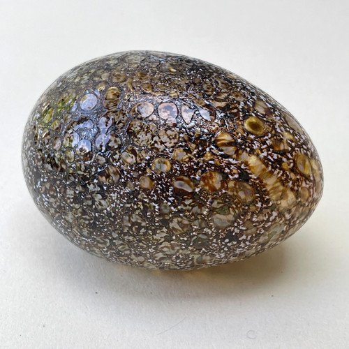Oiva toikka iittala - oiva,