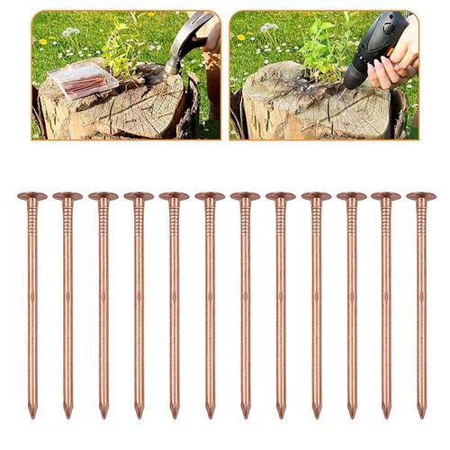 Inch copper tree - inch, nails