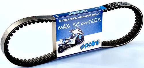 Transmission belt polini for - transmission,