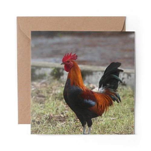 Blank greeting card rhode - blank,