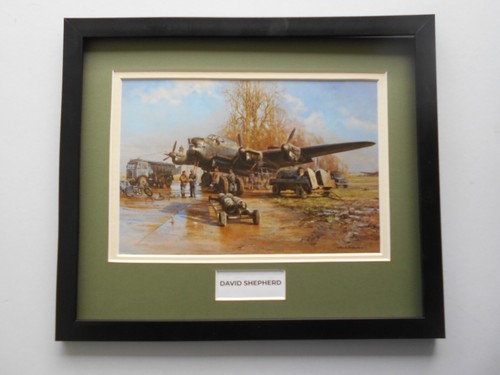 David shepherd print - shepherd,