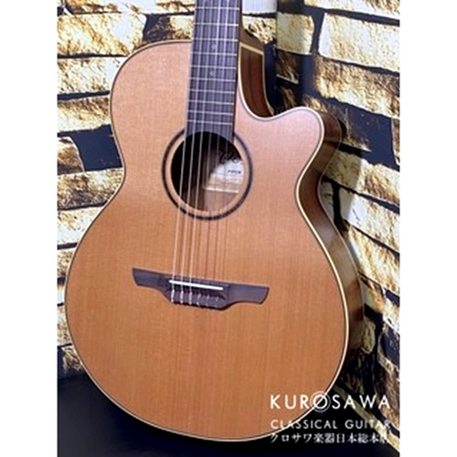 Takamine p3fcn electric gut - p3fcn,
