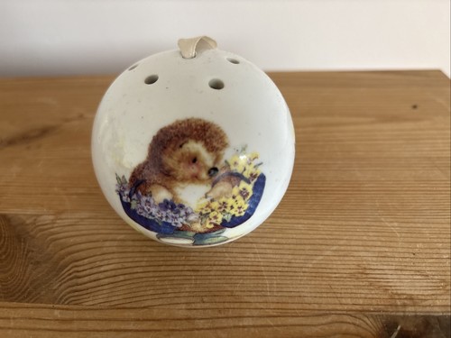 Hedgehog country companions