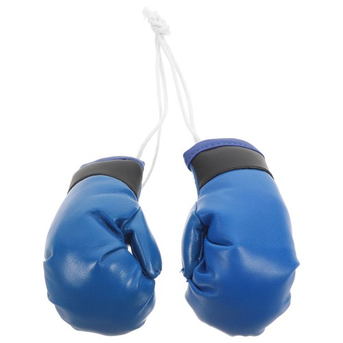 Boxing gloves car accessories - boxing,