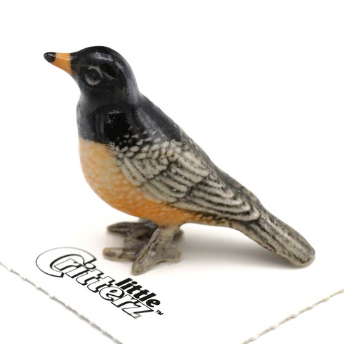 Little critterz bird - critterz,