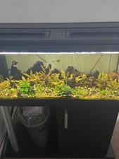 Diversa aquarium with stand - aquarium, /