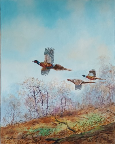 Pheasants landscape - in,