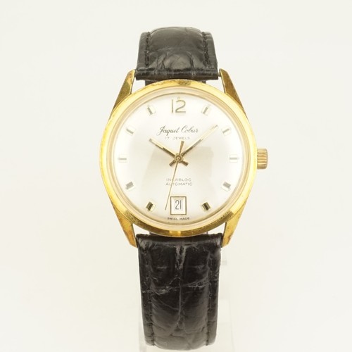Working gold jaquet - pl.,