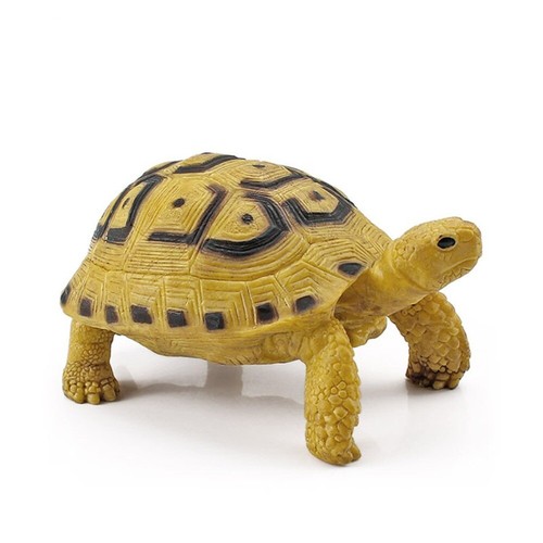 Sea turtle model realistic - model,