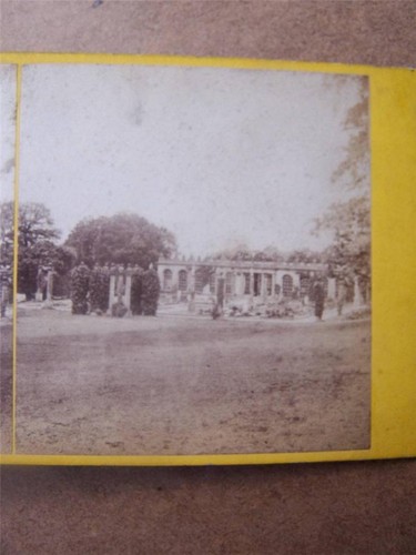 Stereoscopic stereo view - stereoscopic, stereo-view