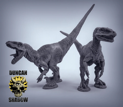 Velociraptors dinosaur no - dinosaur, (no