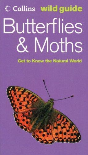 Butterflies and moths collins - moths, (collins