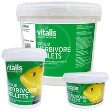 Vitalis cichlid herbivore - vitalis,