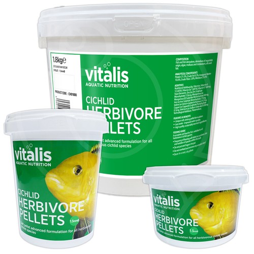 Vitalis cichlid herbivore - cichlid,