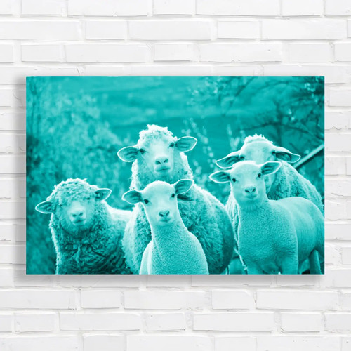 Sheep within mob - mob, curious