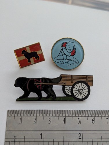 Newfoundland dog pin - dog,