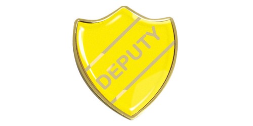 Deputy gel domed school badge - school,