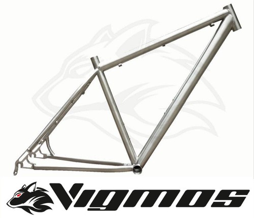 Custom titanium frame - titanium,