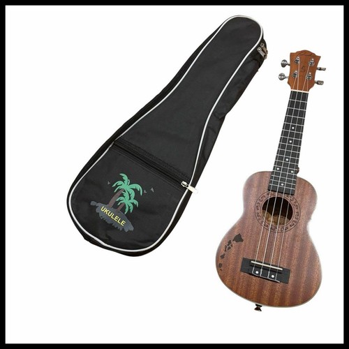 Ukulele from hawaii with - ukulele,