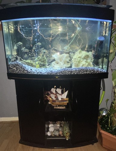 Juwel large aquarium fish tank - large,