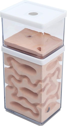 Ant nest farm with natural - farm,