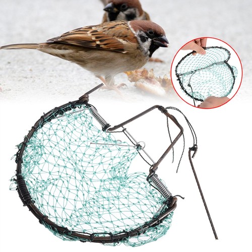 Catching bird trap mesh - catching,
