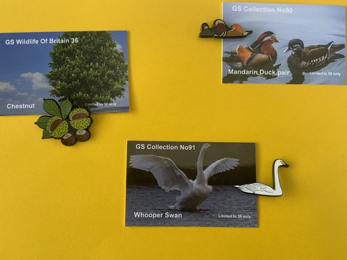 None rspb badges - rspb, 90