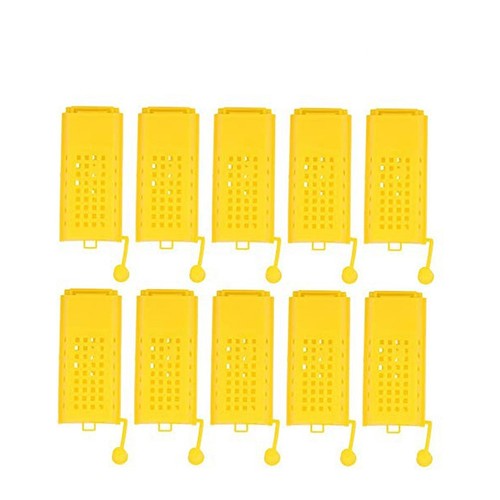 Pcs bee queen - pcs, keeping