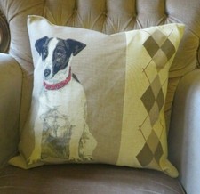 Luxury british jack russell - luxury,