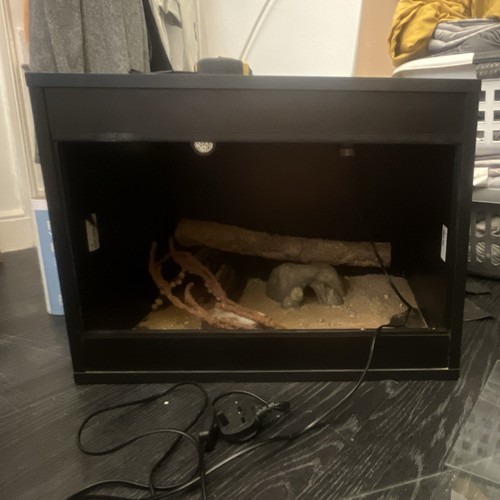 Vivarium for reptile with - vivarium, reptile,