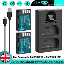 2PCS DMW-BLF19 Battery For