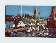 Postcard Seagulls Ships Harbor