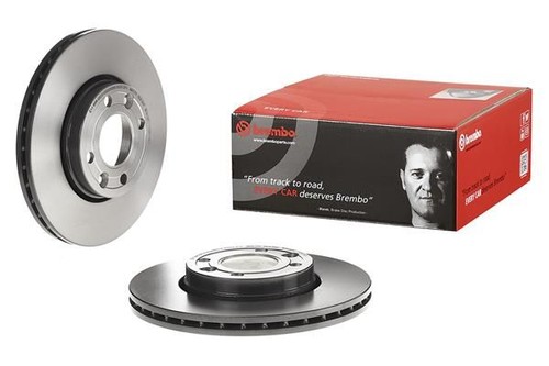 Brembo front brake 258mm - 2,