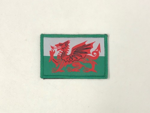 Wales welsh flag dragon - wales,