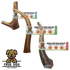 Whole Wild Antler Dog Chews - Medium, Large, XL - 100% Natural Dog Chewing Treat