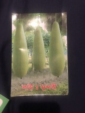 Bangladeshi Vegetable Lau sundoori Pani Kodu 10 Bangla Gourd Seeds