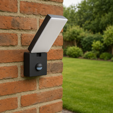 LED PIR Garden wall lamp