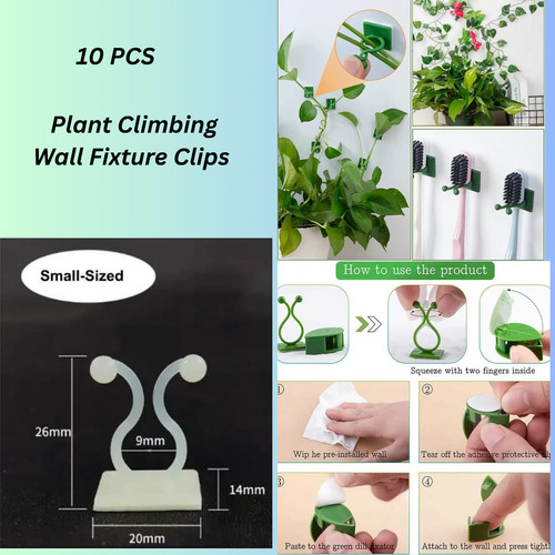 Plant climbing wall - plant, fixture