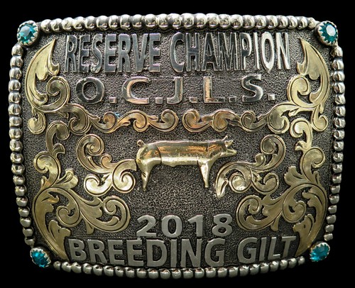 Breeding gilt pig ocjls - breeding,