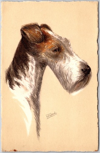 Postcard wire haired fox - wire-haired,