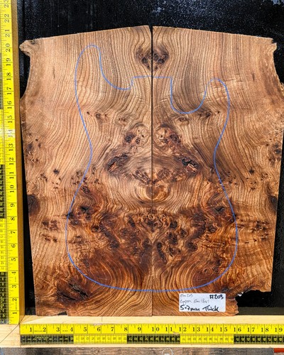 Elm burl guitar top - elm,