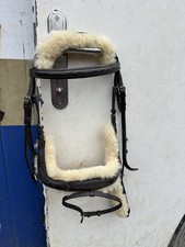 Brown CobBridle Anatomical